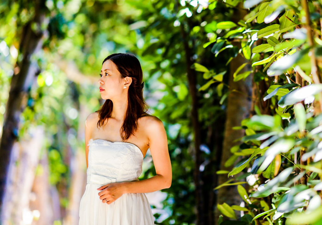 昔撮ったシリーズ