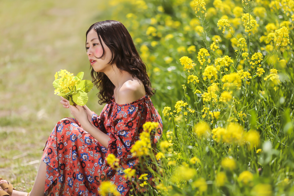 再びの菜の花