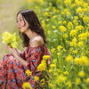 再びの菜の花