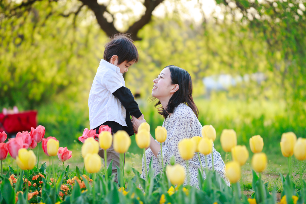 どの花見てもきれいです