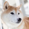 イケメンくん