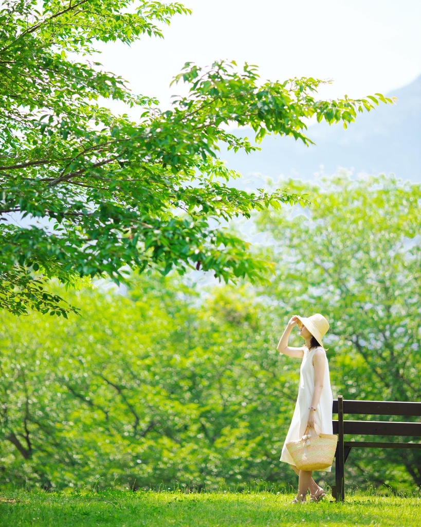 初夏