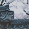 高遠城址公園