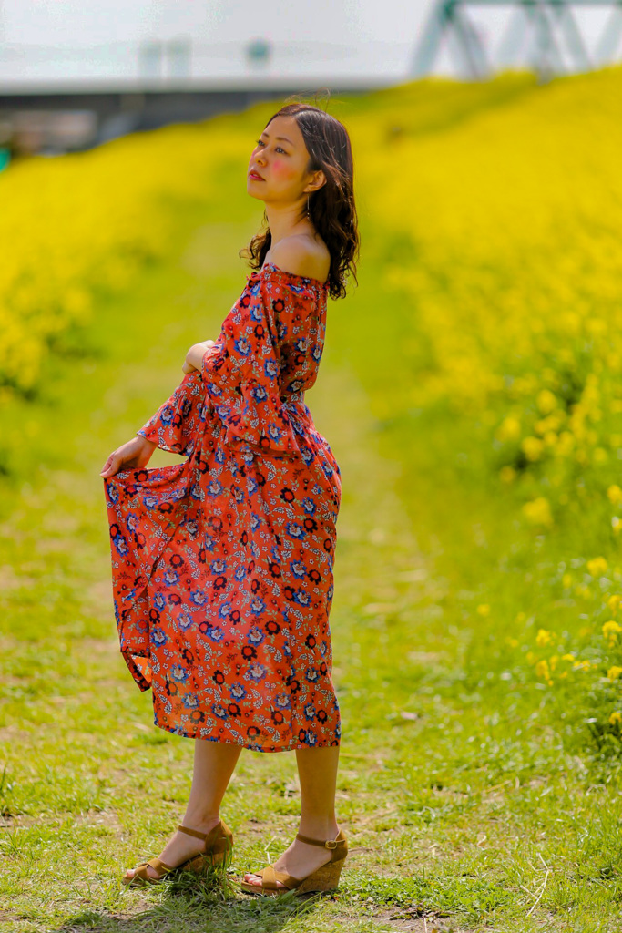 再びの菜の花