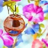 にっぽんの夏