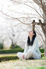 お花見