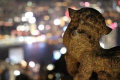 6176654848_IMG_0821
