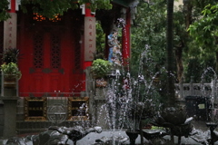6176683008_IMG_0898