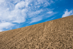 砂丘