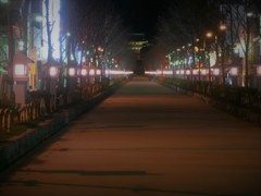 夜更けた参道