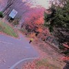 行く秋