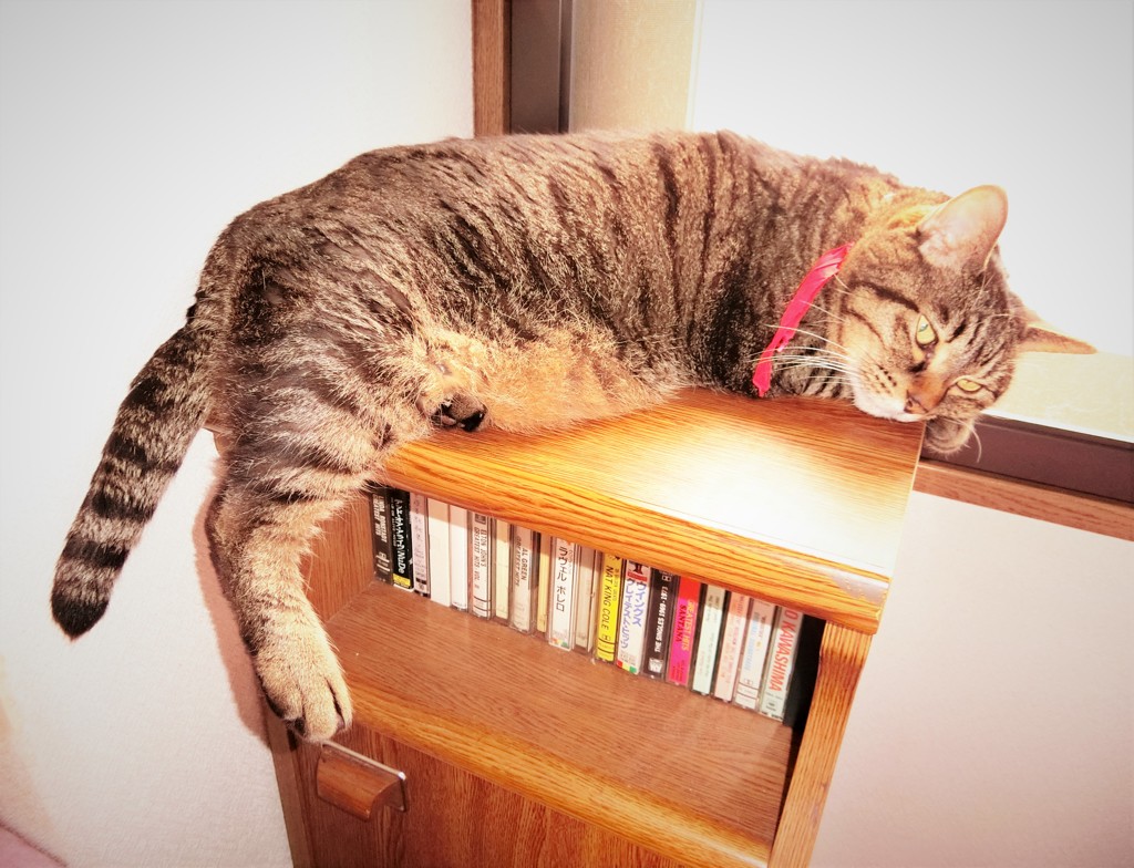 もの思い