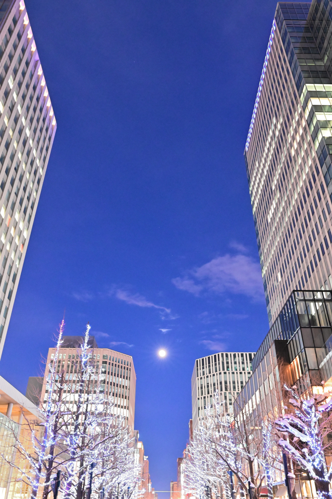 札幌の夜