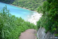 浜辺へ。