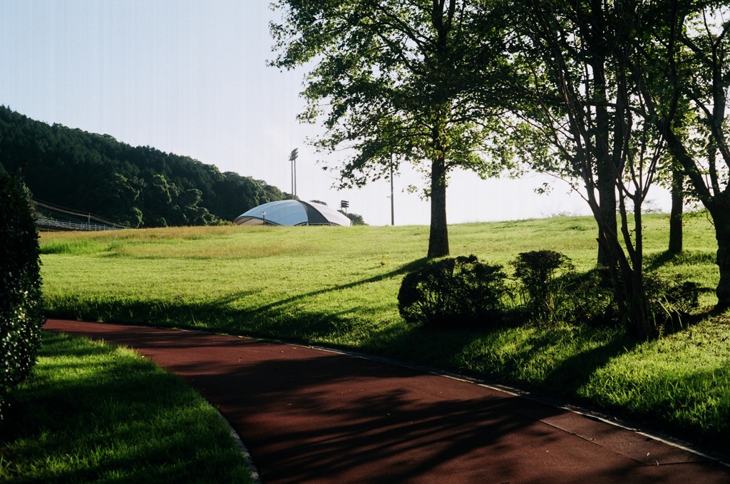 公園でお散歩４