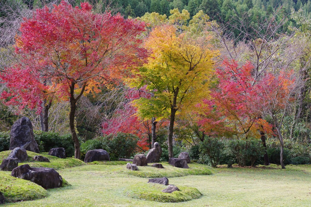 秋の英彦山８