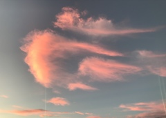 雲