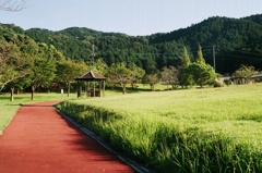 公園でお散歩２