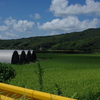 山口県の風景２