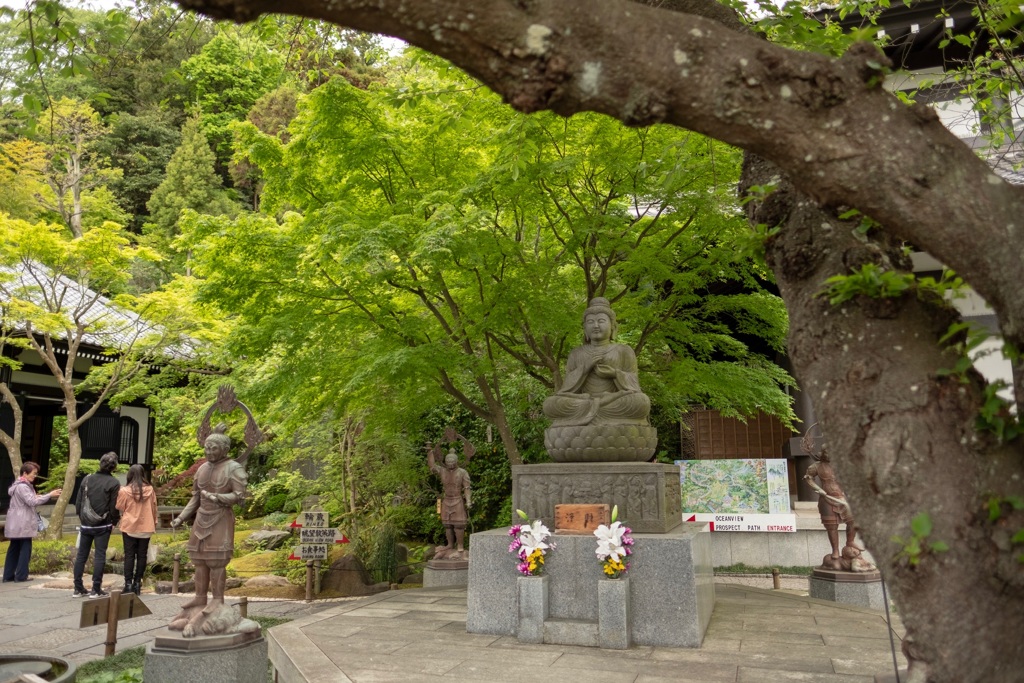 鎌倉散歩5