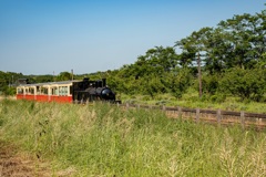 トロッコ列車