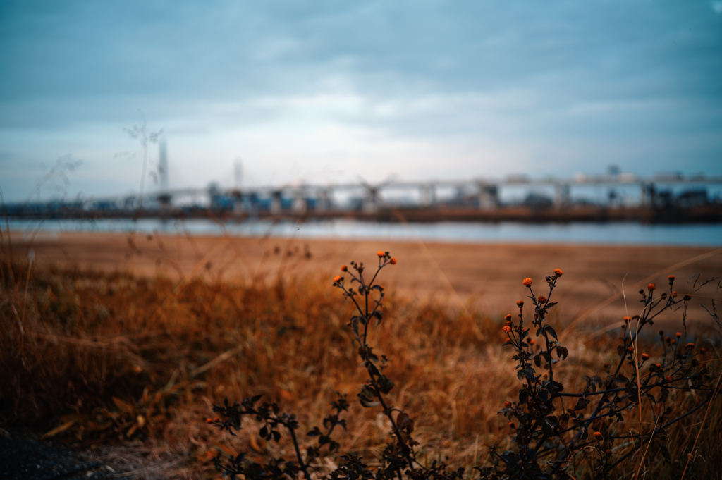 河川敷の風景〜3