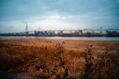 河川敷の風景〜3