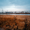 河川敷の風景〜3