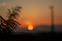 三番瀬の夕陽9