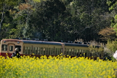 千葉半島横断の旅〜7