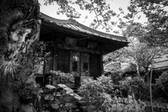 鎌倉散歩25