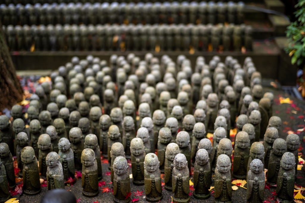 冬の鎌倉、散歩道。〜17