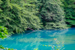 五色沼2