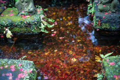 冬の鎌倉、散歩道。〜16