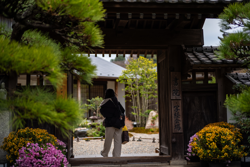 冬の鎌倉、散歩道。〜10