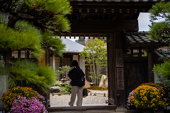 冬の鎌倉、散歩道。〜10