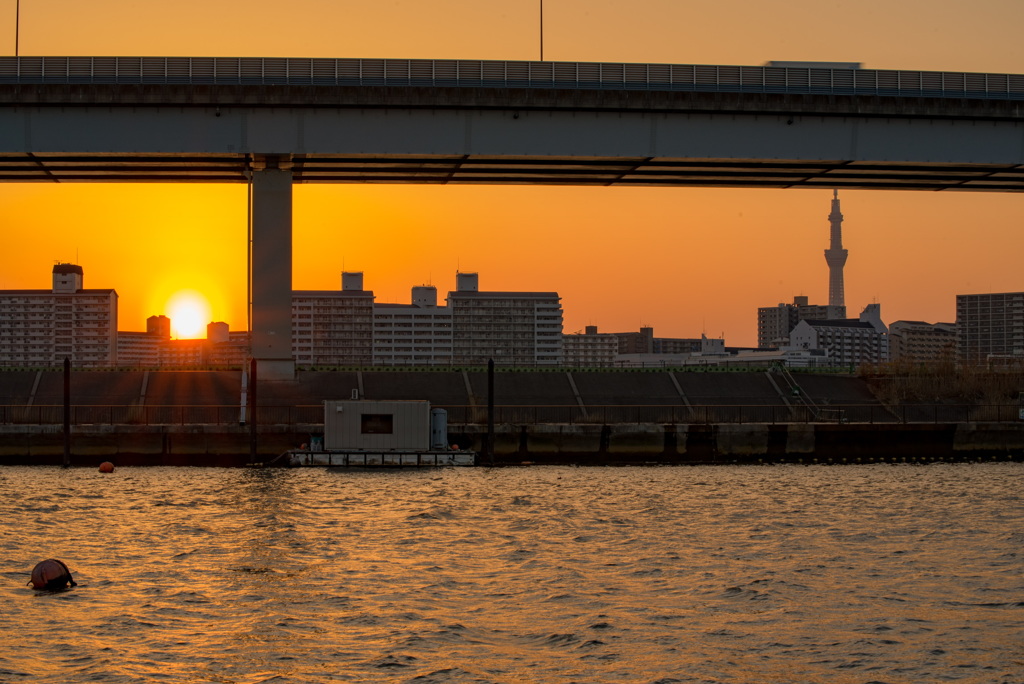 休日の夕陽