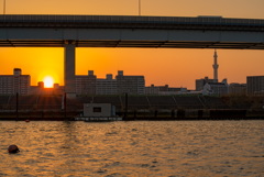 休日の夕陽