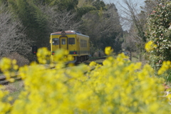 春列車〜5