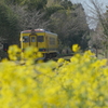 春列車〜5