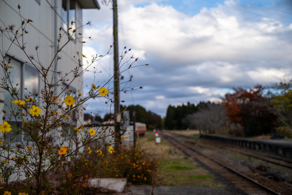 がんばれ、いすみ鉄道〜5