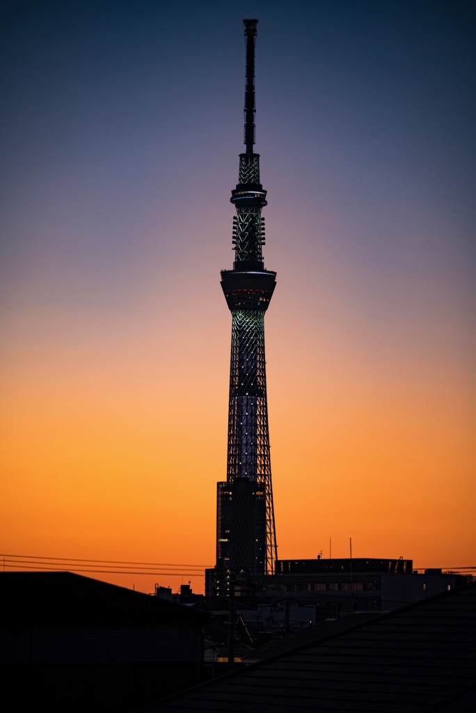 夕陽に聳え立つ塔