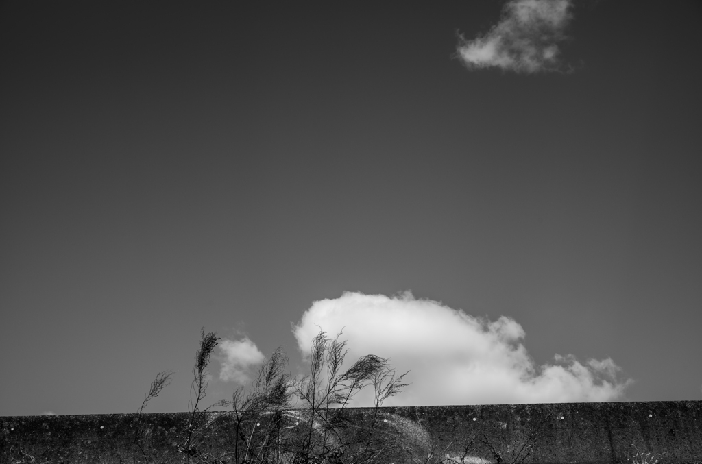 雲-1