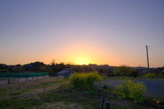 春が来た。5