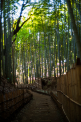 『ひよどり坂』〜3