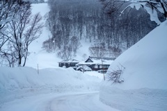 青森酸ヶ湯温泉にて
