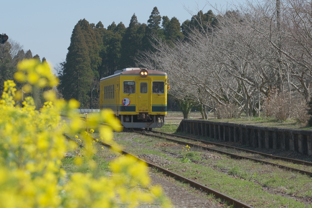 春列車〜4