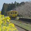 春列車〜4