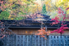 紅葉の訪れる庭