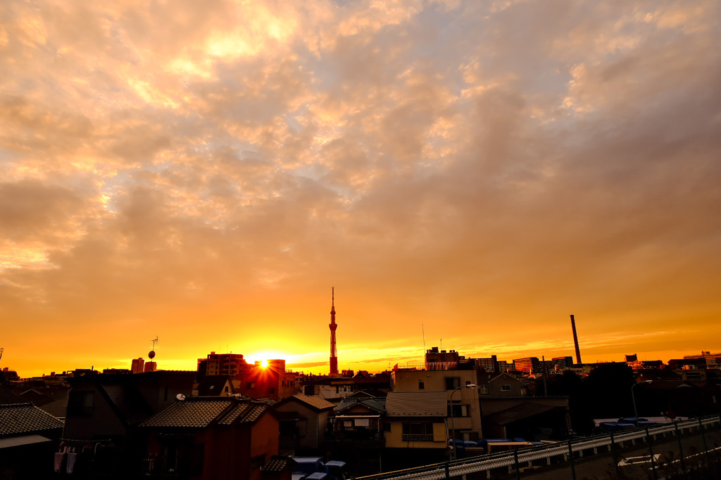 スカイツリーと夕陽5